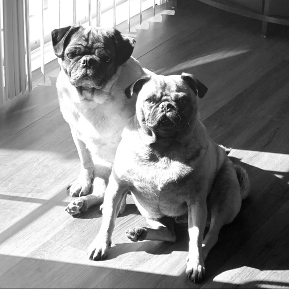 Meet your Posher, Pamela - Picture 2 of 8